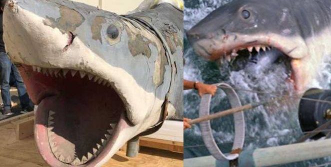 Az Acadamy Museum of Motion Pictures restaurálja az egyik olyan üvegszálasműanyag cápa testét