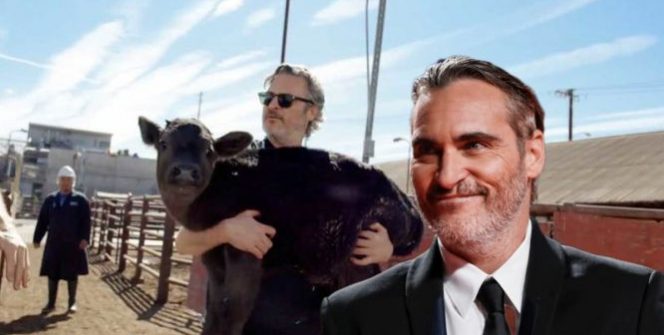 MOZI HÍREK - Nemrég beszélt Joaquin Phoenix a legjobb férfi főszereplőnek járó Oscar díjátadóján a természeti erőforrások brutális kifosztásáról és az állatok jogait is felemlegette.