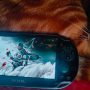 Akiknek (még) megvan a Sony, Japánban 2011 decemberében (a világ többi részén 2012 februárjában) megjelent kis kézi gaming kütyüje: a PlayStation Vita, és szokta remote play módban használni, az a Ghost of Tsushima esetében lemondhat róla.