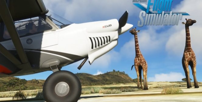 Állat világot hoztak nekünk össze – úgy értem valóban, kidolgozott állatok a Microsoft Flight Simulator új előzeteseiben!