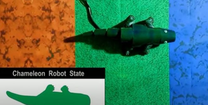 Koreai mérnökök olyan puha testű robotot építettek, amely kaméleon módjára képes megváltoztatni a színét, hogy beleolvadjon a környezetébe.