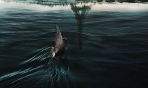 FILMKRITIKA - Manapság annyi cápás film van, mint hal a tengerben. Sajnos, a legtöbbjük nemcsak borzalmas, de büszkén vállalja ezt.