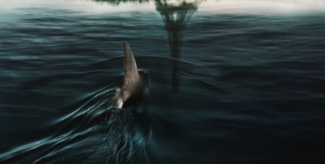 FILMKRITIKA - Manapság annyi cápás film van, mint hal a tengerben. Sajnos, a legtöbbjük nemcsak borzalmas, de büszkén vállalja ezt.
